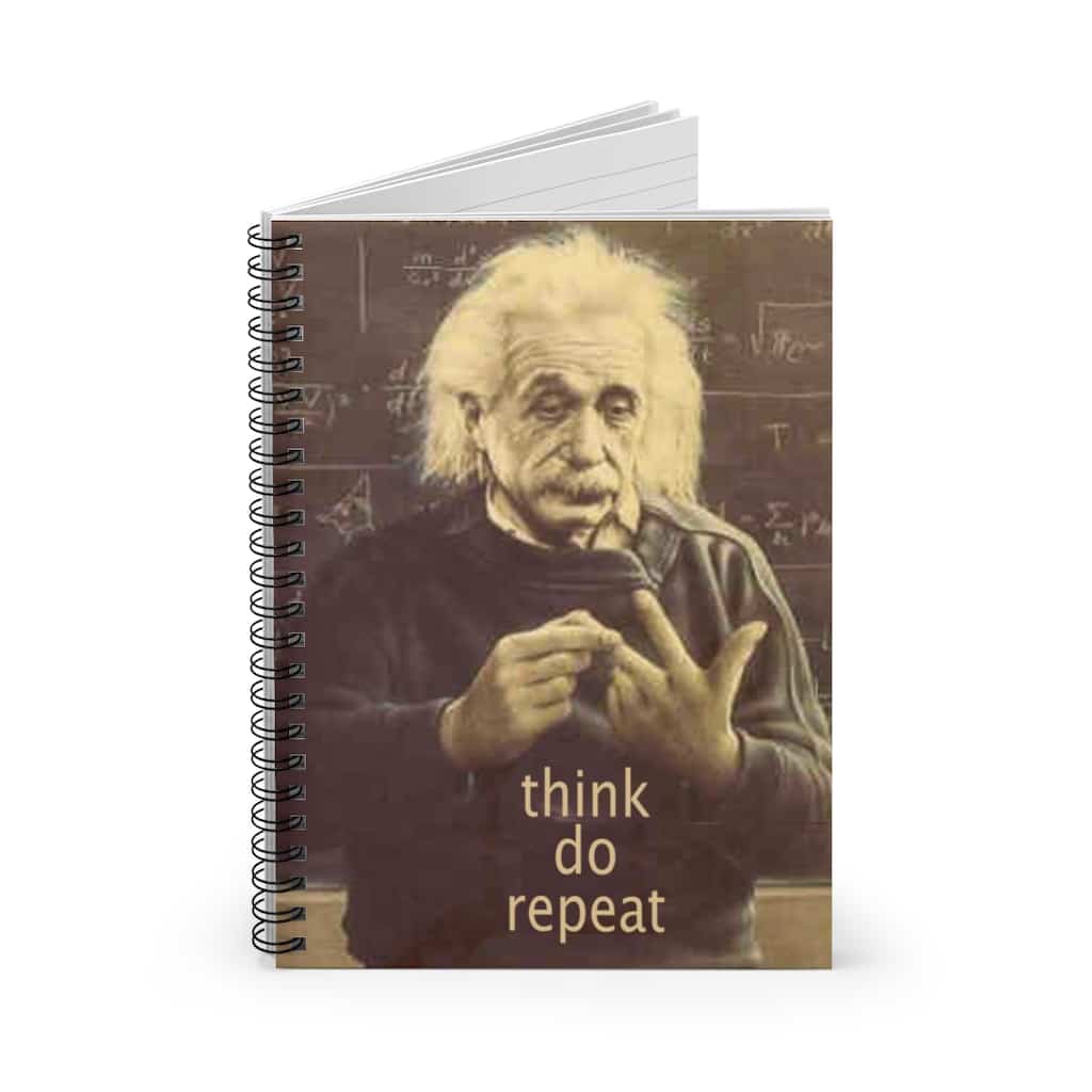 Albert Einstein Notebook Diary